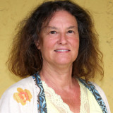 Fazio